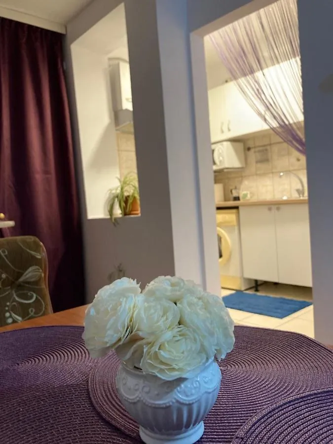 Royal Studio National Arena - Free Parking Bucharest