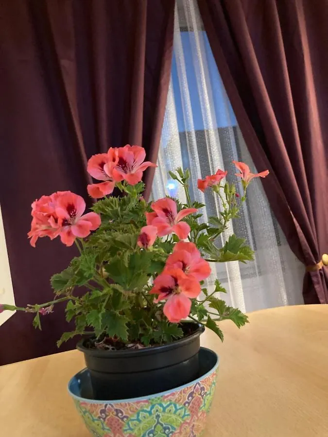 Apartment Royal Studio National Arena - Free Parking Bucharest