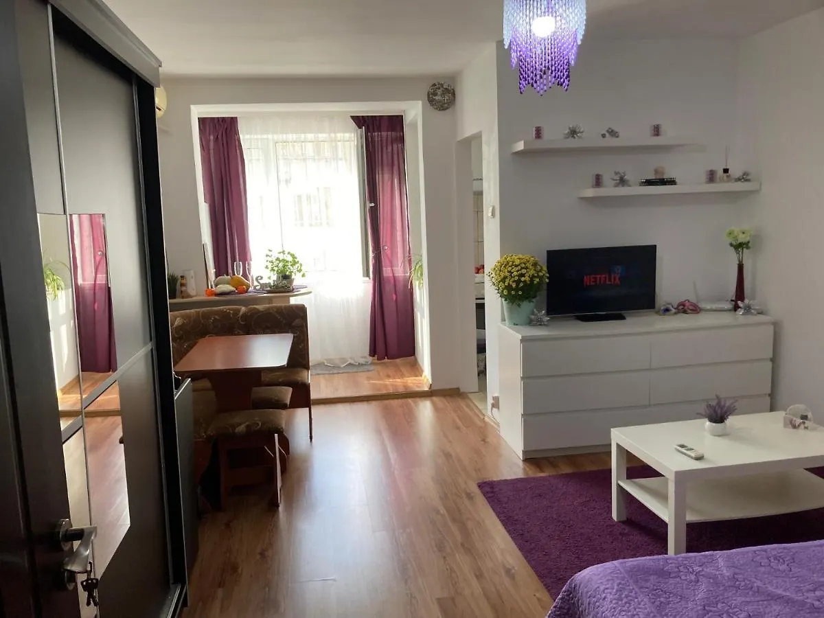 Royal Studio National Arena - Free Parking Bucharest Apartment